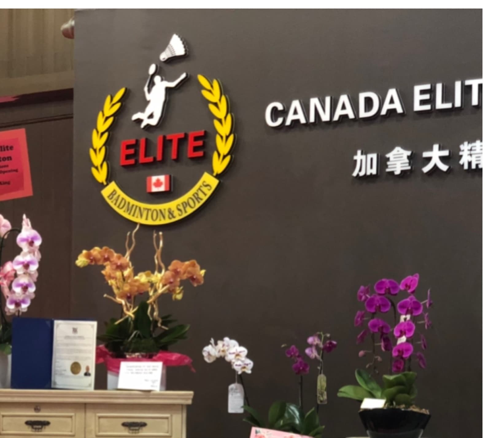 The Elite Badminton crest and signage on the club's lobby wall, the space you'll see when you arrive.